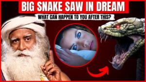 Biblical Meaning of Seeing a Snake in a Dream